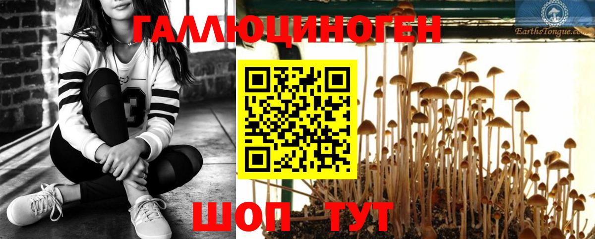 Белорецк  сколько стоит  Вход с VPN  Псилоцибиновые грибы GOLDEN TEACHER 
