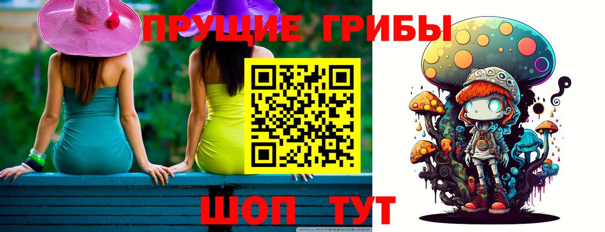 Галлюциногенные грибы Psilocybe Белорецк